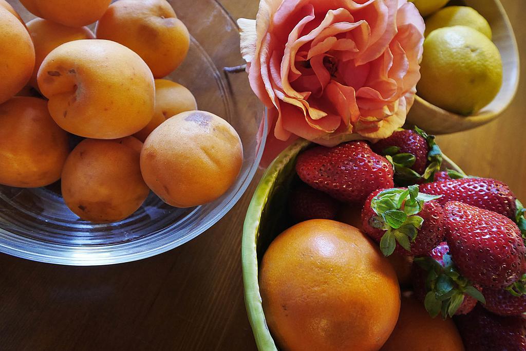 סן וינצ'נזו Podere San Giuseppe מראה חיצוני תמונה